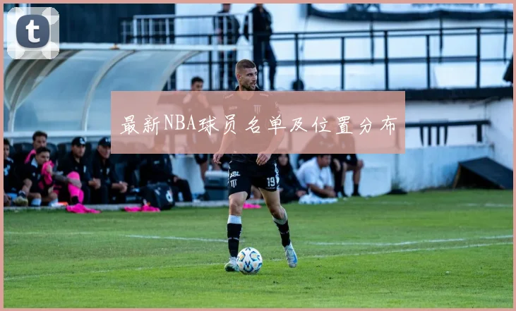 最新NBA球员名单及位置分布