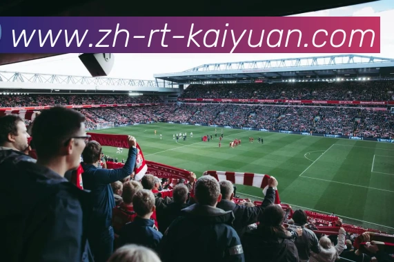 App Interface Preview